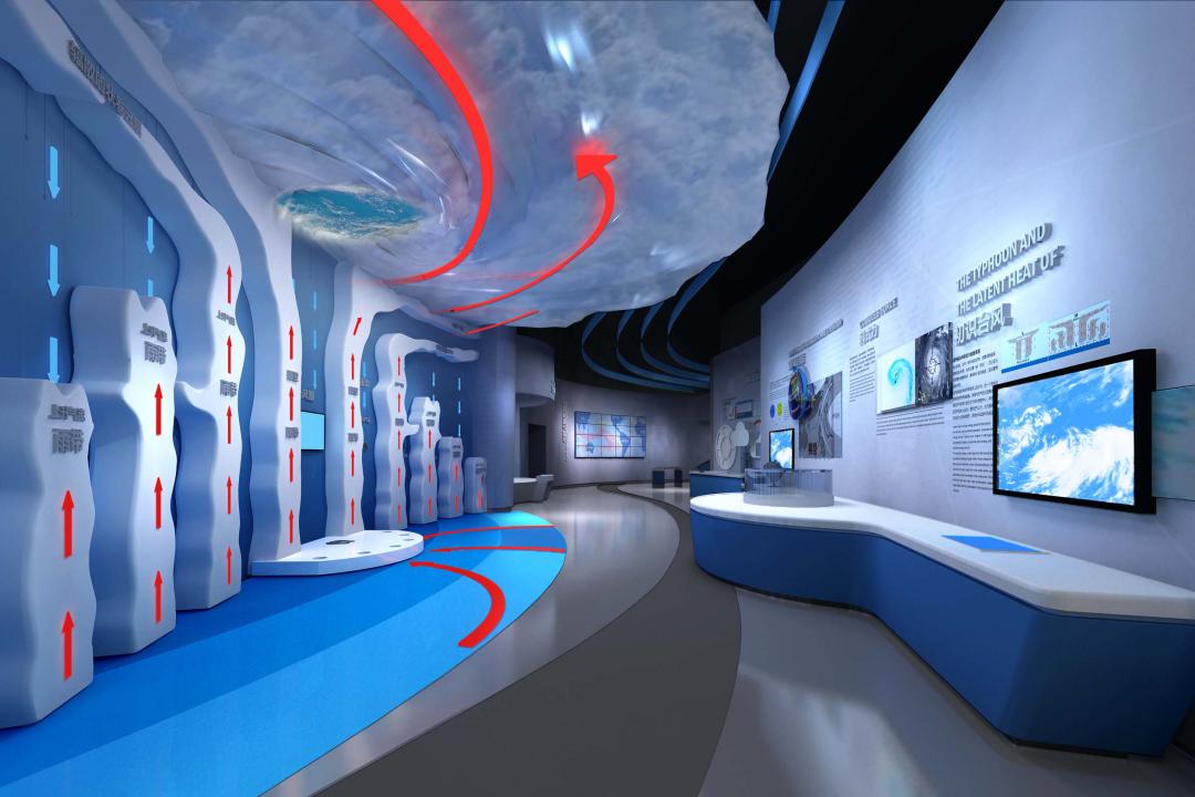 冬天厦门观鸟旅游,厦门大自然小朋友玩的地方推荐