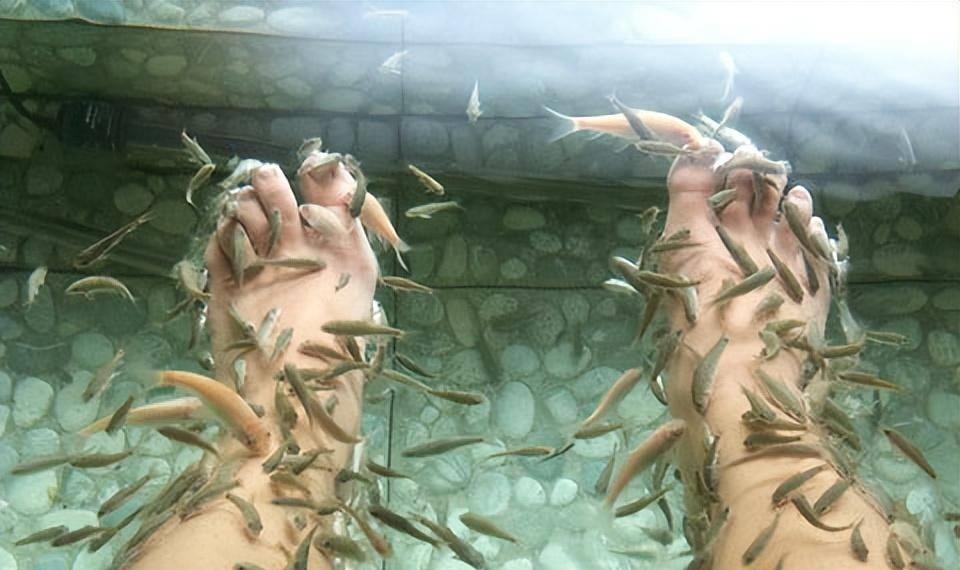 温泉恐怖事件,泡温泉恐怖事件