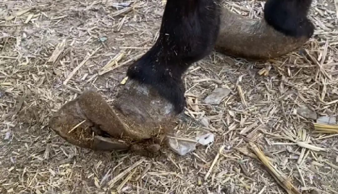 解压视频赶海挖东西,赶海的解压视频