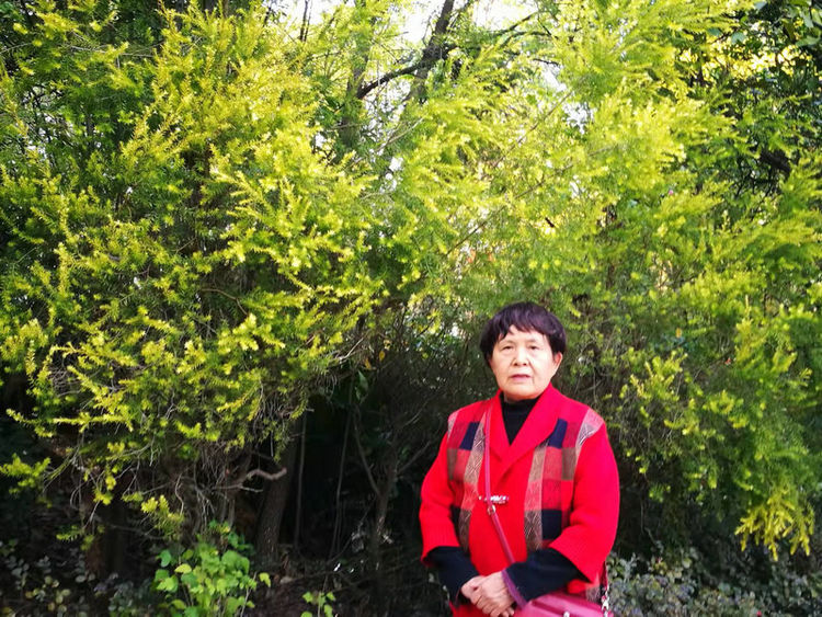 株洲市阳光新城,株洲魅力新城全景