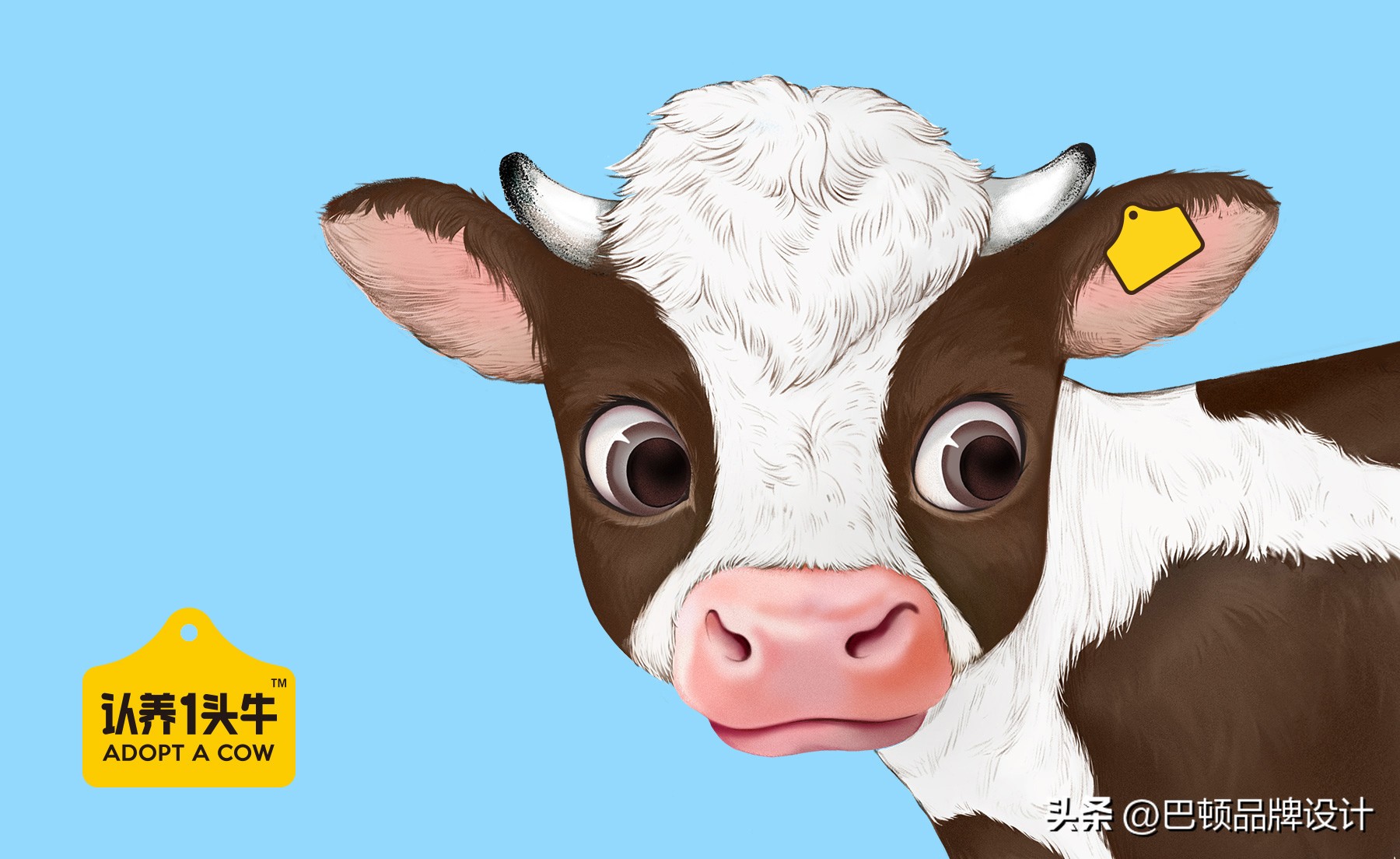 品牌全案策划费用,品牌全案策划详细步骤