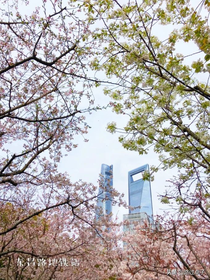 上海地铁旅游景点攻略,上海地铁打卡攻略