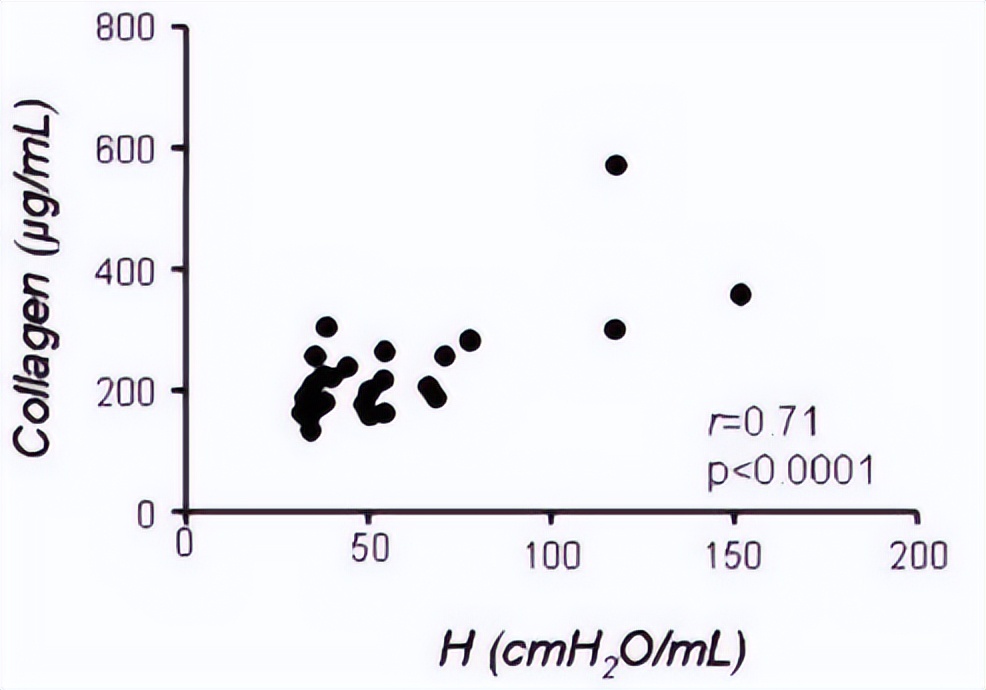 探索海洋固氮蓝藻毛滴虫联盟的转录活性，揭示水平氮循环潜在机制