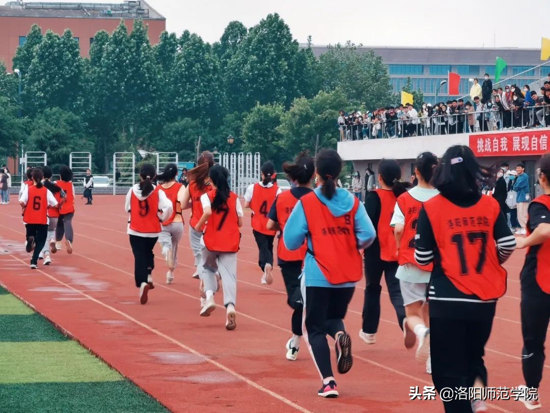 洛师好考吗,洛师最好的专业