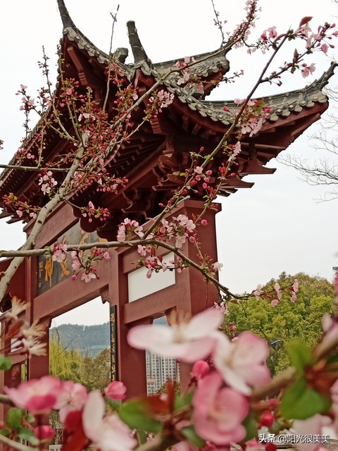 天蝎座在五月份做事的成功率,做事光明正大的星座