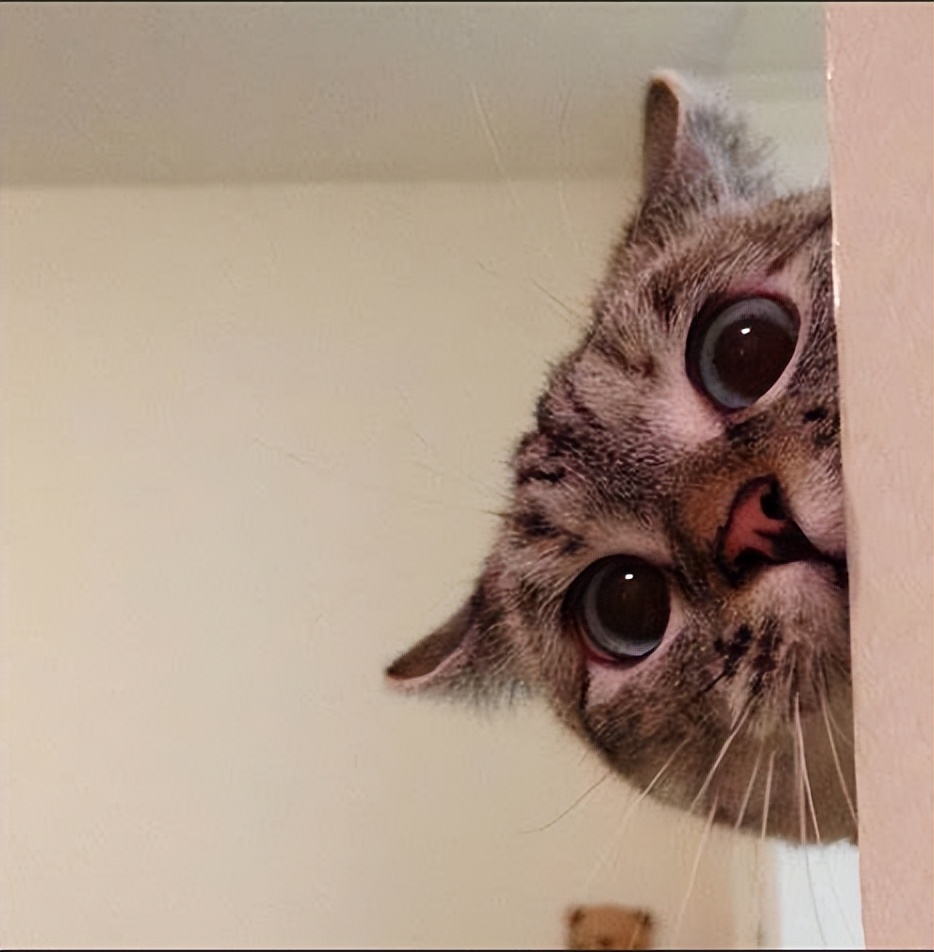 浼佷笟寰俊蹇嵎鍥炲妯℃澘,寰俊濡備綍鍗虫椂鍥炲