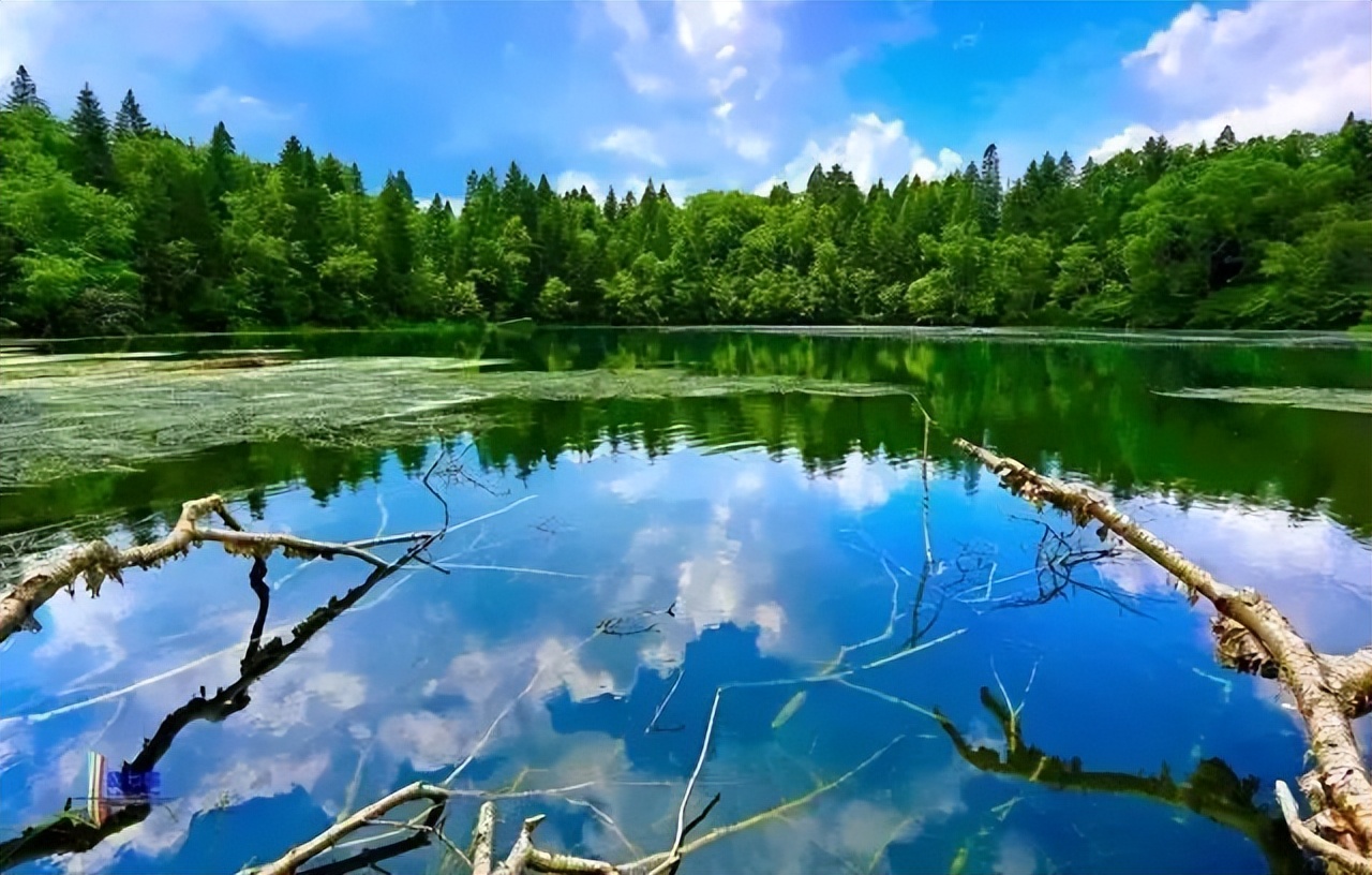 长白山北景区和南景区哪个更好玩,长白山选西景区还是北景区