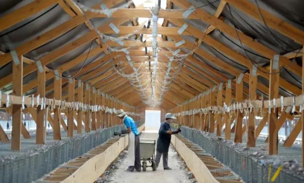 水貂养殖新技术,水貂皮草的养殖方法与技术