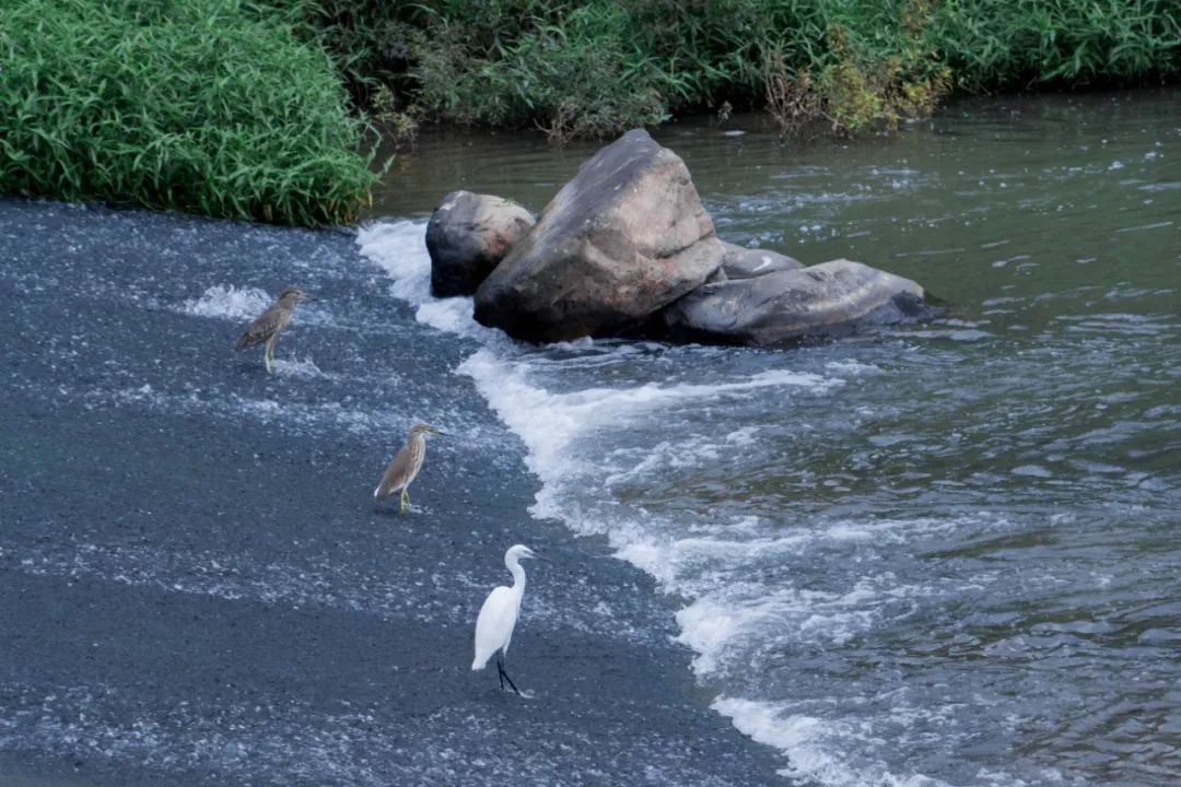 深圳4号线哪个站好玩,深圳1号线有哪些玩的地方