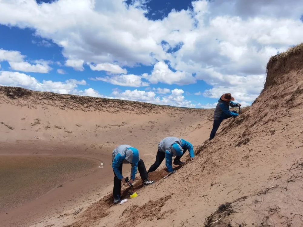 黑龙江发现石墨烯矿,黑龙江省双鸭山市发现超大石墨矿