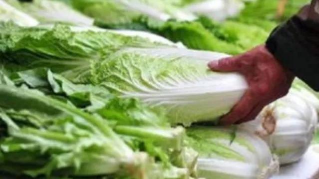 白菜价格“坐上火箭”，中国产泡菜成了救兵，韩国人：我太难了