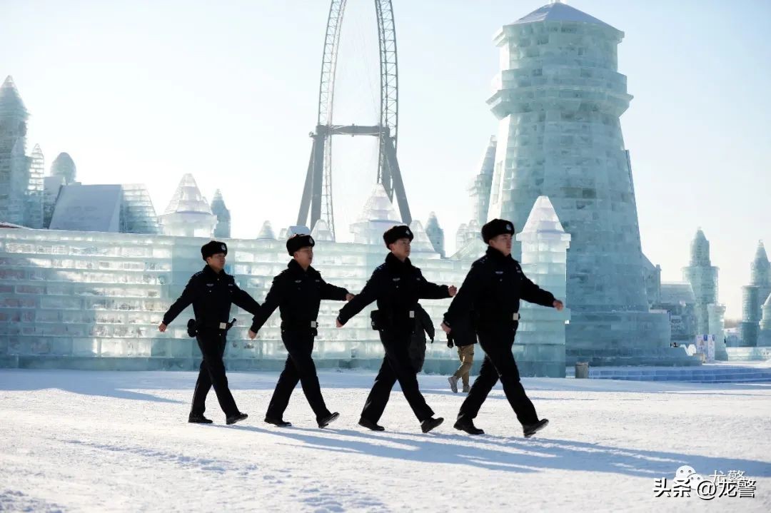 龙警十年，让高质量发展底色更亮