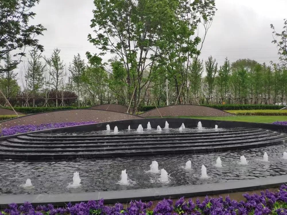 大连虚假广告名单,大连华润大连湾配套学校