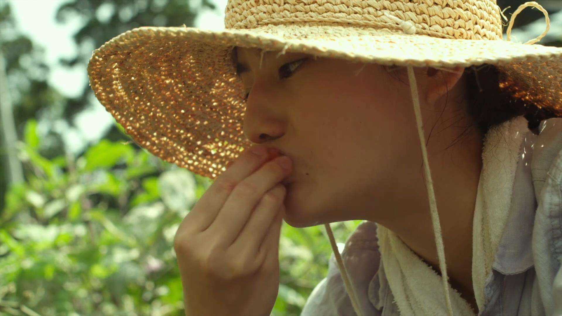 日本电影小森林简介,日本治愈系电影小森林海报