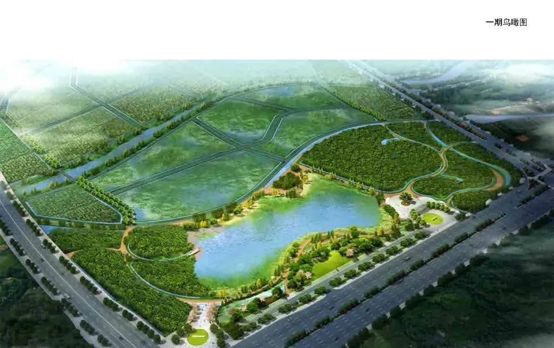 新会枢纽新城规划小学落地,新会枢纽小学项目部