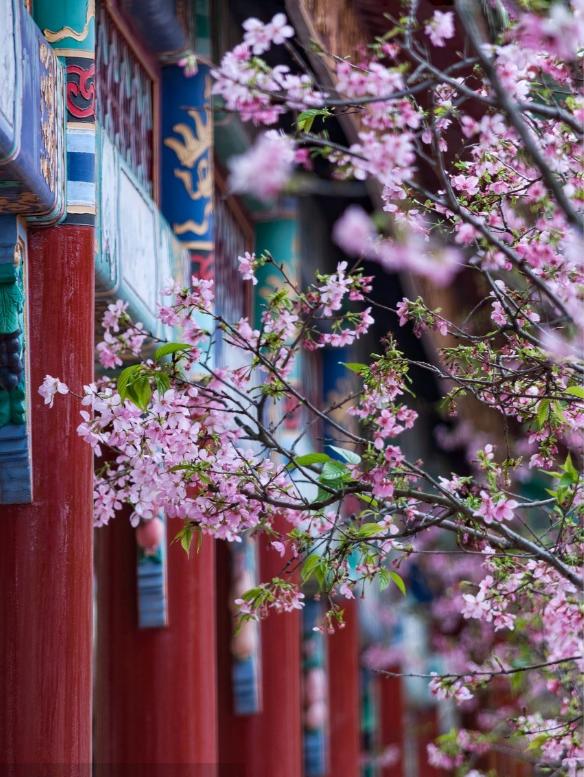 给女神的七夕大礼包,送给女生的大礼包有哪些