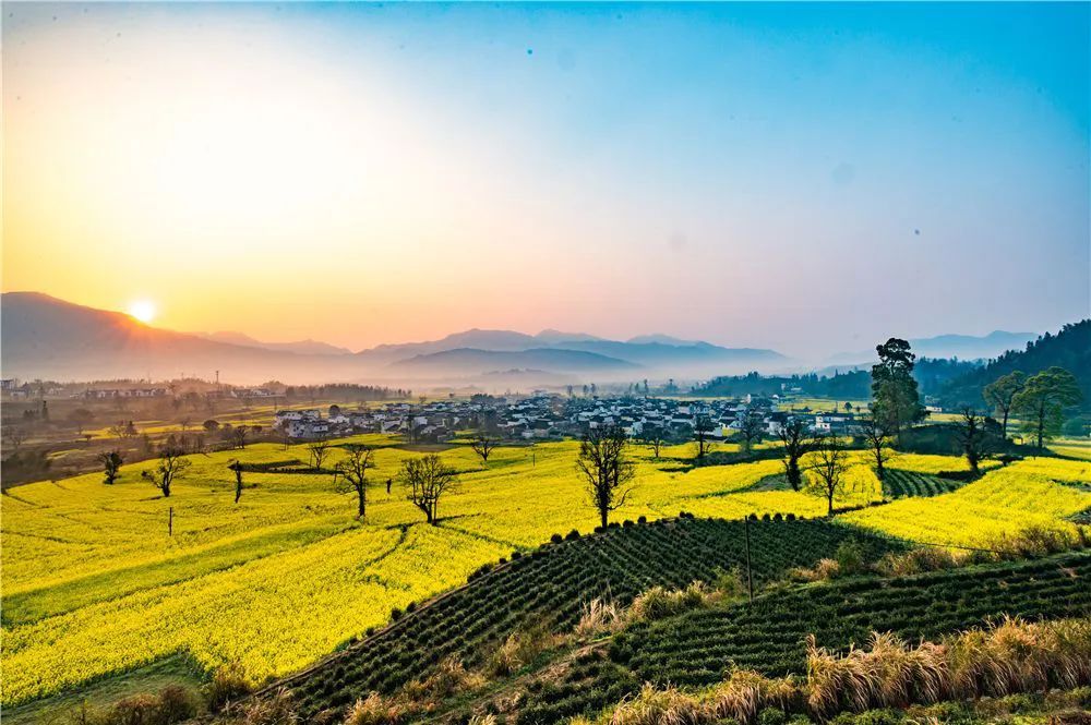 自驾去黄山路线攻略,夏季黄山自驾5条绝美路线攻略