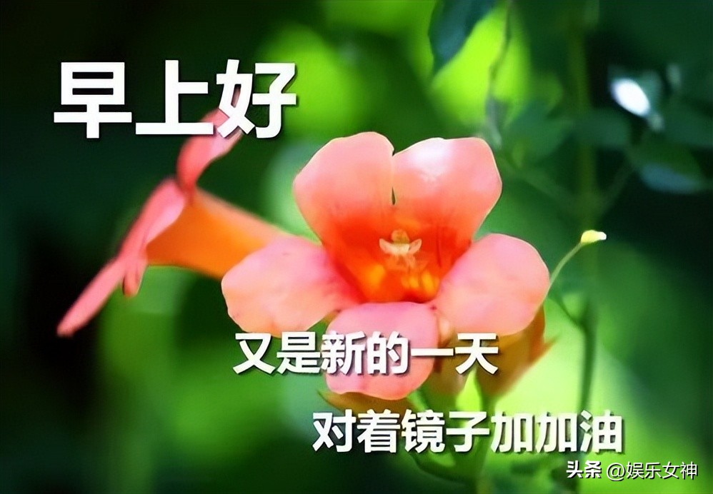 最新每日早上好问候语图片大全,早上好问候语图片怎样加表情的