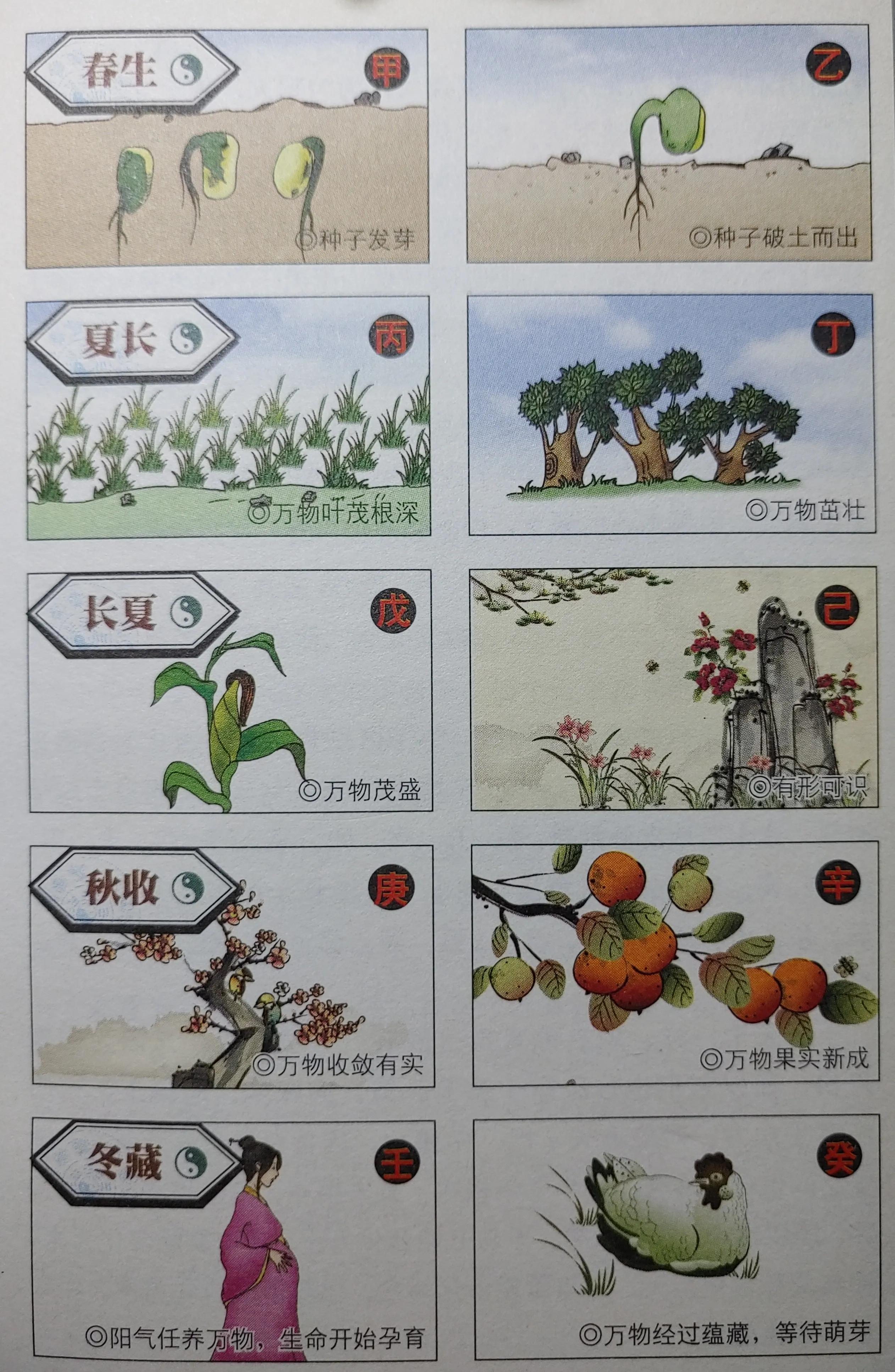 天干地支阴阳五行,天干地支纪年法