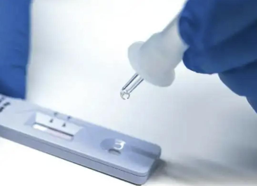 核酸和抗原哪个成本高些,核酸与抗原的区别图解