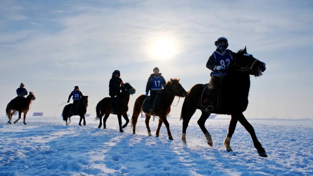 2022-2023年达斡尔冰钓季精彩集锦!