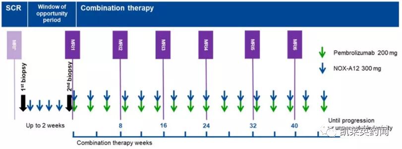 新药巡礼:核酸“抗体”曙光已现,NOX-A12发力肿瘤治疗