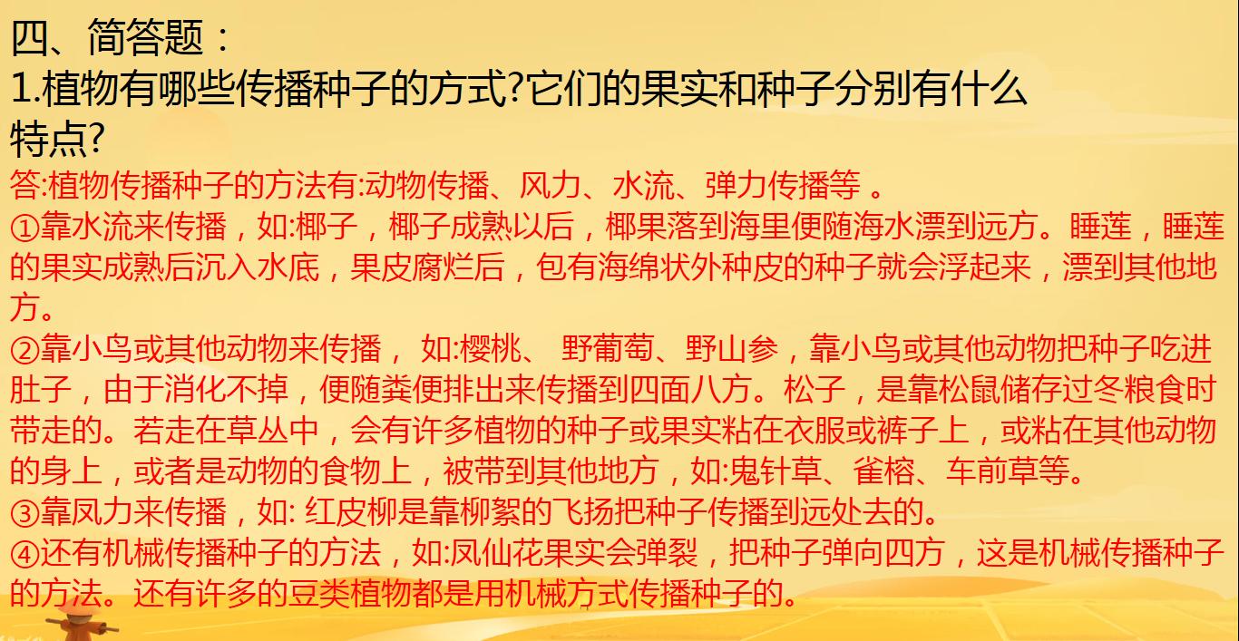 四年级下册科学种子里孕育新生命,教科版科学四年级下册果实和种子