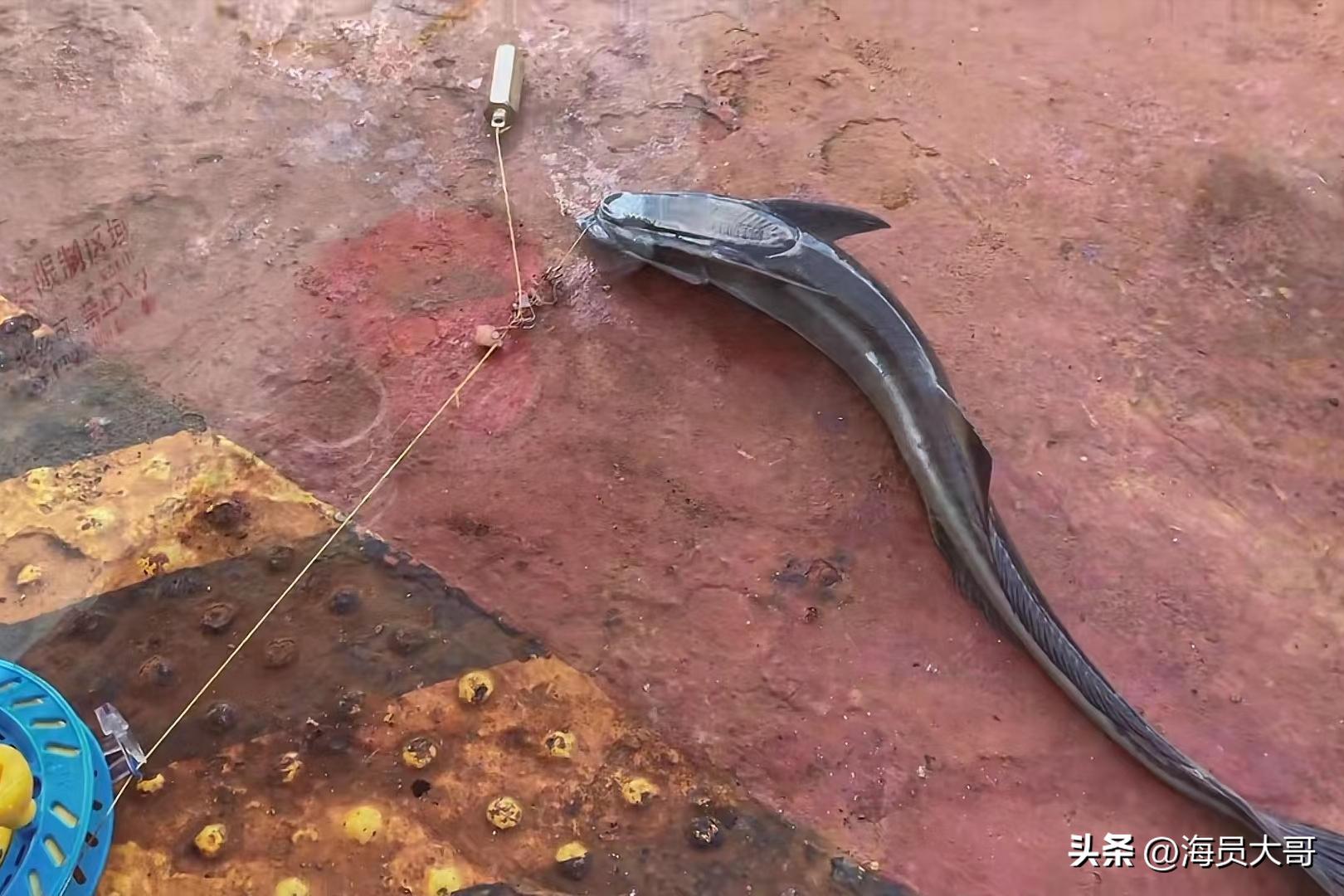 做海员每天都得工作,做海员服务好吗