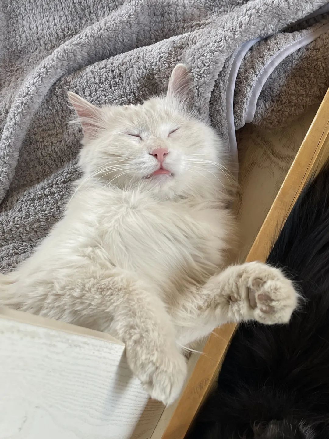 赵明明：上班摸鱼，是我的梦想!