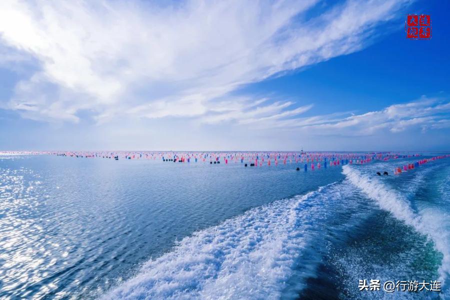 大连适合夏天去的岛屿,完美的夏天海岛之旅