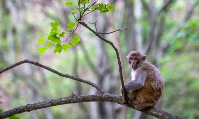 【有一种生活叫大理】春风十里，不如剑川有你！