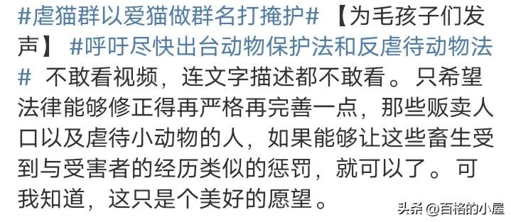 恶趣味！以爱猫为幌子售卖虐猫视频，10元30G，群内讨论虐猫手法
