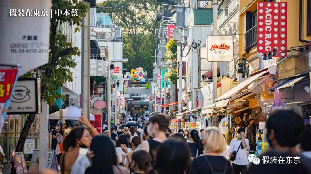 365张照片回顾,365张相片