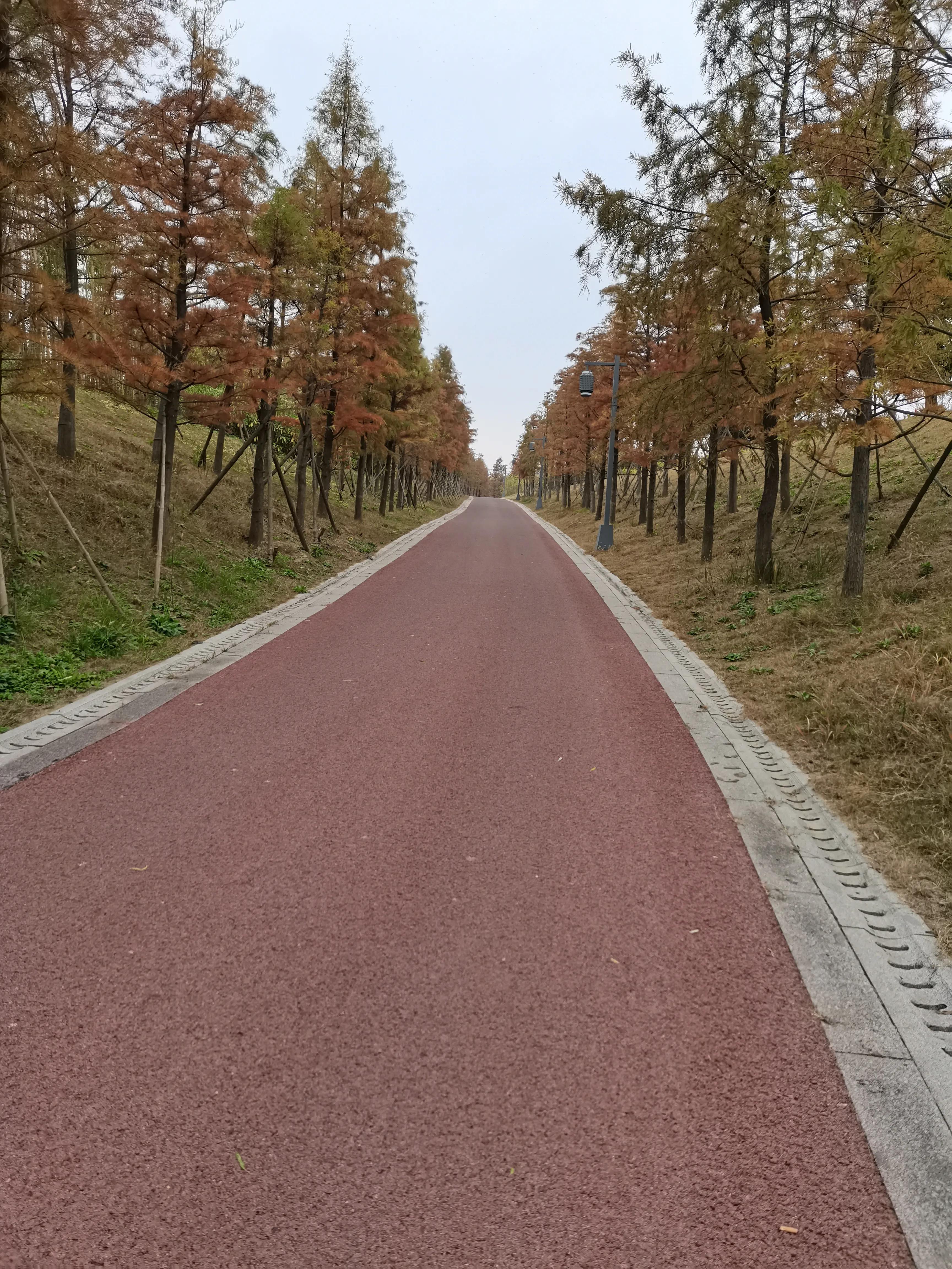 淮安市发展前途,淮安未来重点发展在哪个区