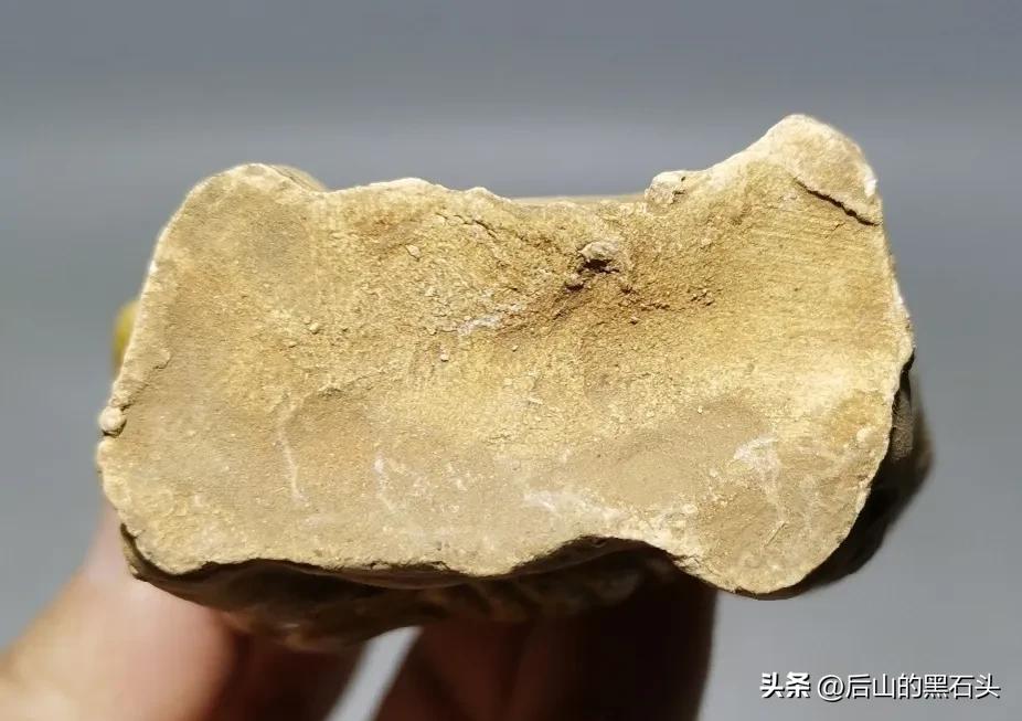 我的一次购物经历作文,我的网购真实经历