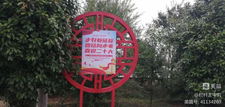 平安淮滨新变化丨淮滨县栏杆街道:喜迎二十大,夸夸我的家乡王湾新变化