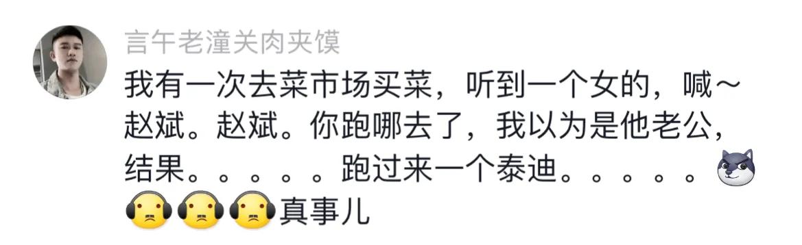 宠物取什么名字好听,取一个宠物名字