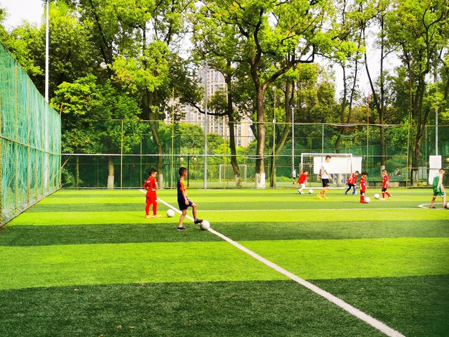 五人制人造草坪足球场,五人制足球场选哪种草坪