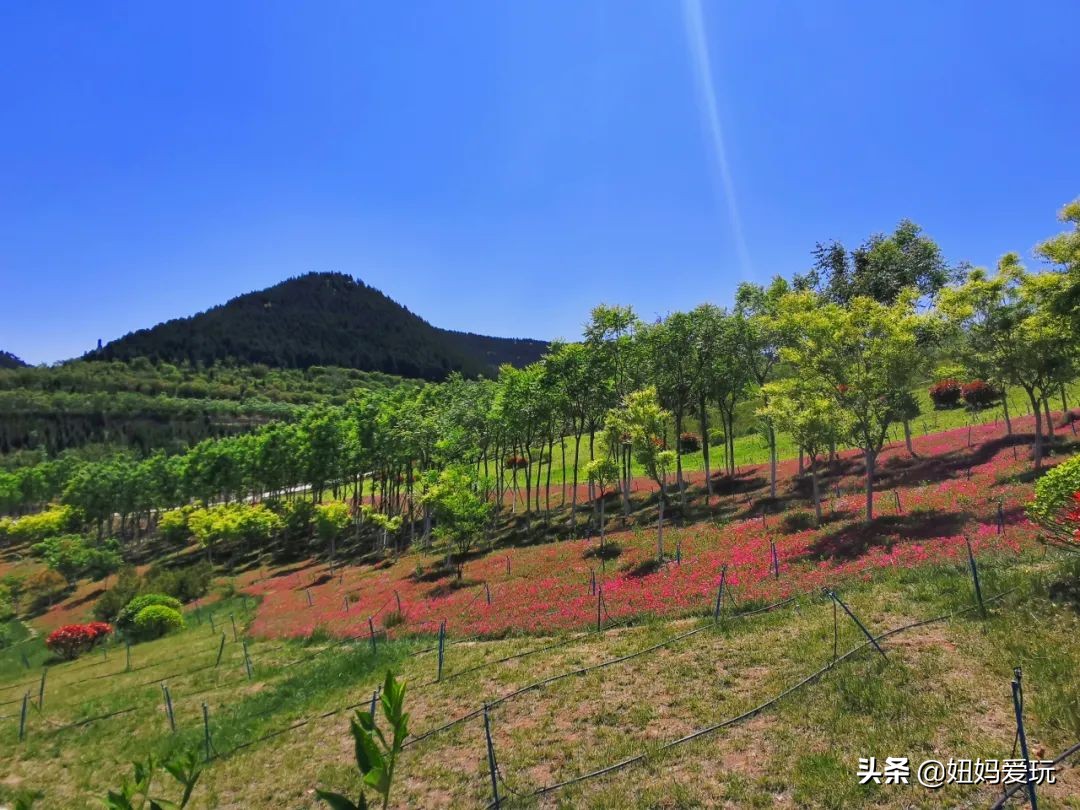济南市区适合带孩子去的免费公园,济南市区免费公园推荐