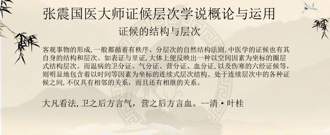 中医疏调气机法讲座,国医大师张震讲疏调气机汤视频