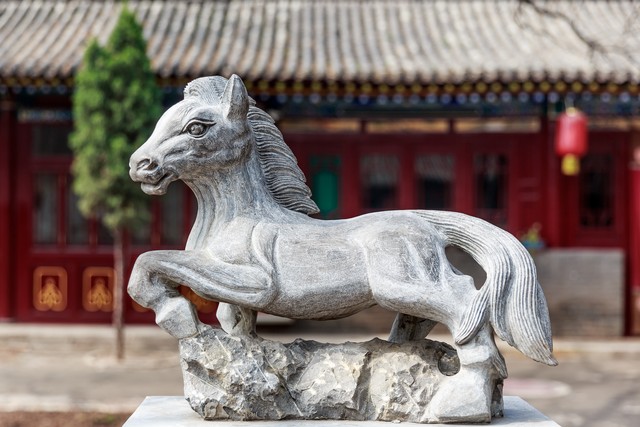 生肖马在2023年将要大喜临头,2023年7月20号生肖马的幸运色