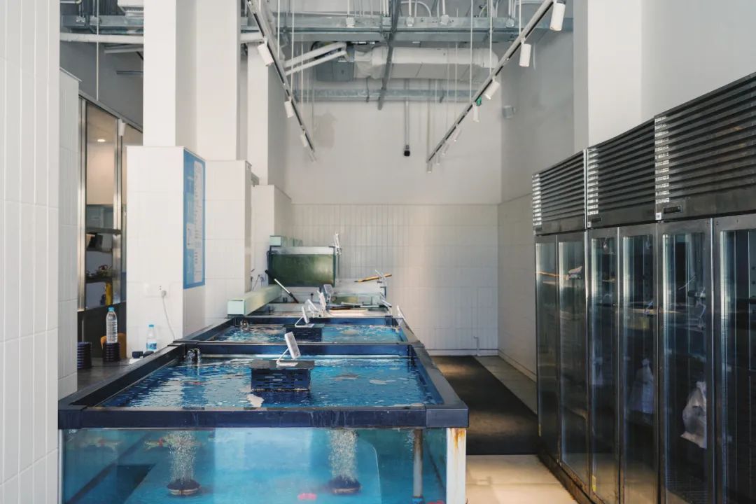 10步就有一家！时髦小店密度这么高的地方，全中国我找不出第二个