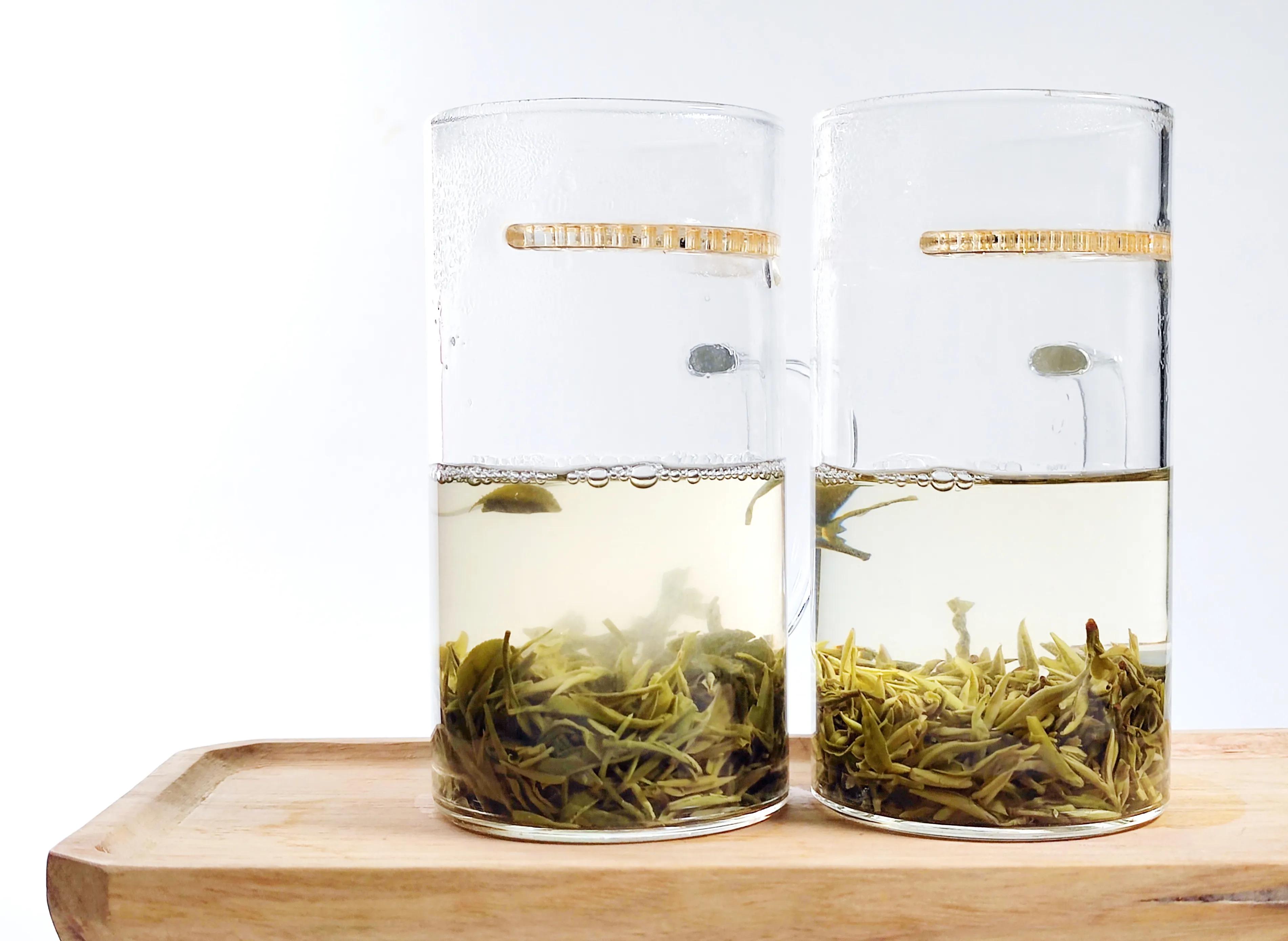 信阳毛尖茶和川茶,川茶和信阳毛尖的区别