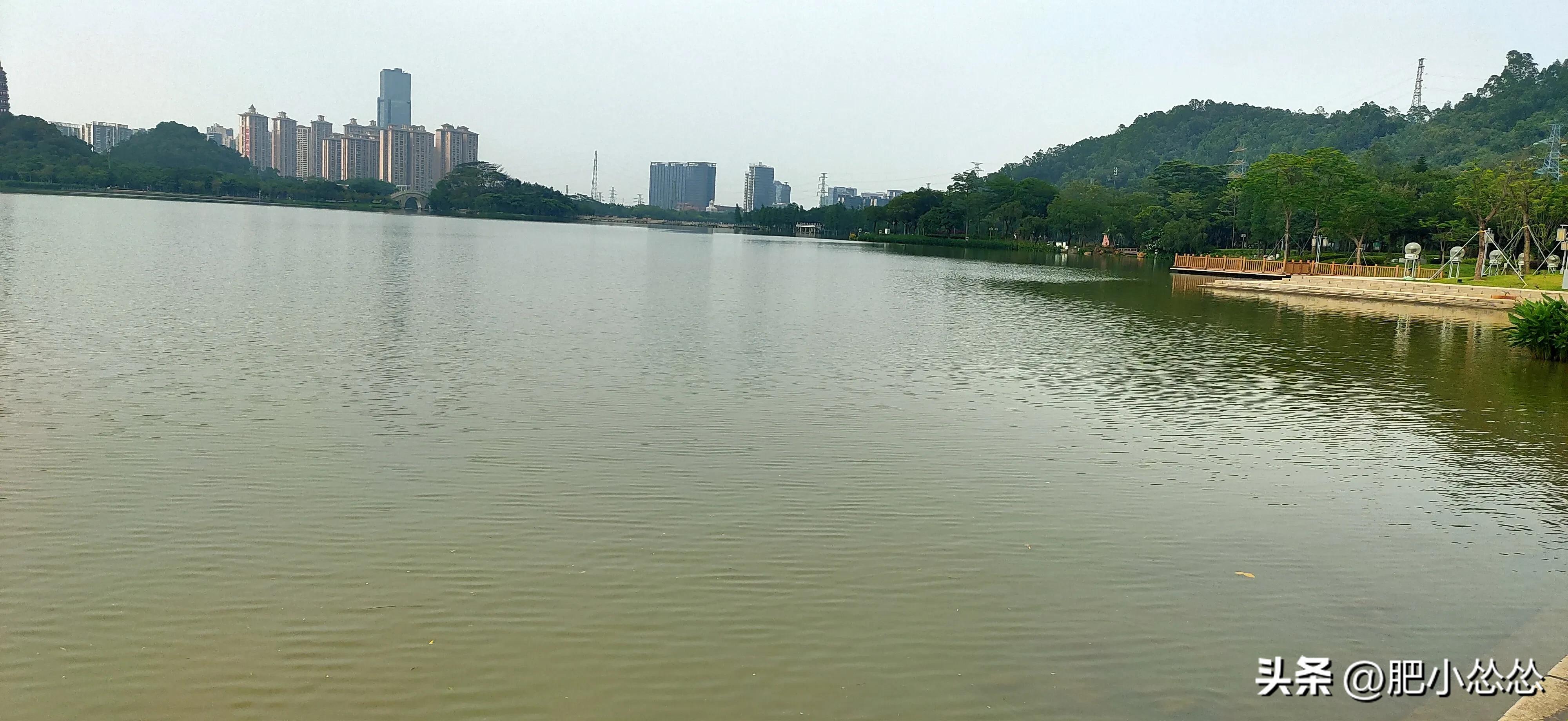 广州顺德攻略,广州去顺德的最佳路径