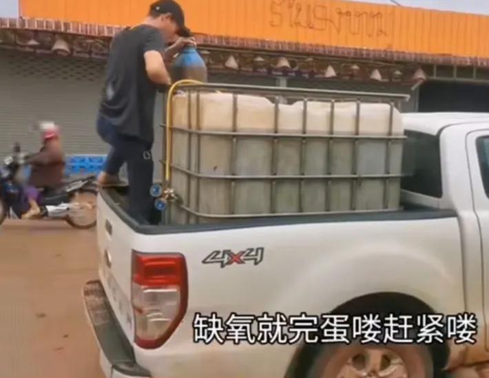 广西大叔娶老挝美女三年花费100万,36岁小伙娶老挝女大学生