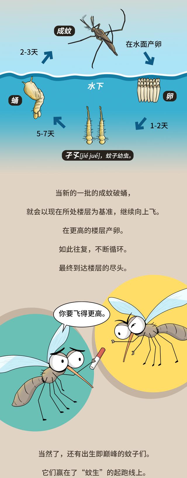 房子26楼以上会有蚊子吗,26楼蚊子能飞上来吗