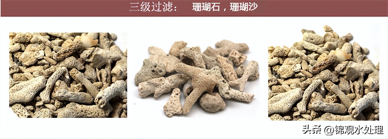 鱼池过滤毛刷安装方法,露天鱼池植物过滤方法