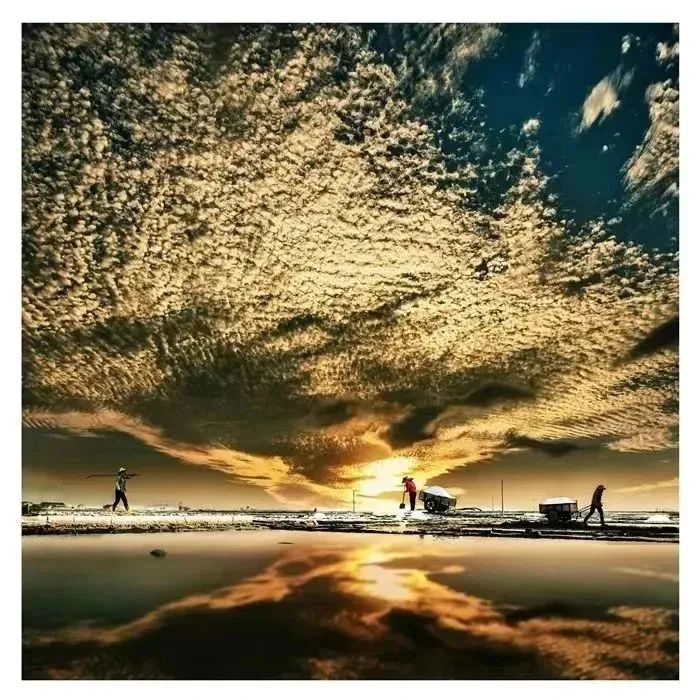 从一粒海盐解读盐工背后的劳动“秘密”