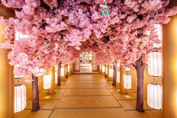 无需长途跋涉,无需跋山涉水尽享诗与远方