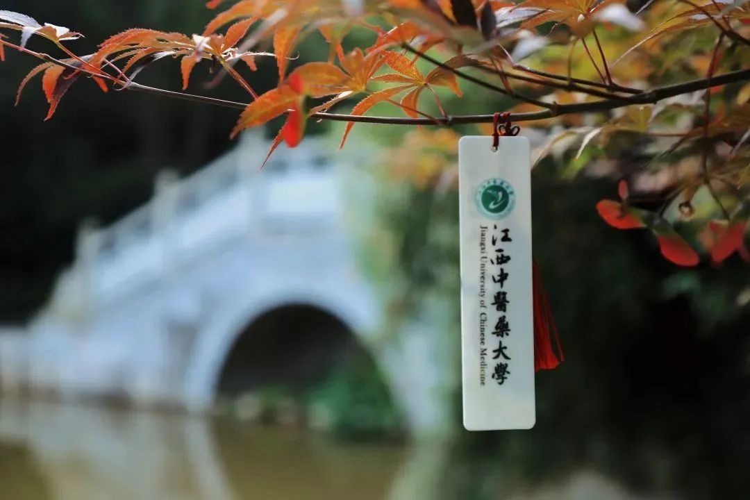 学生给学院送什么毕业礼物好,高校毕业礼物走心又暖心